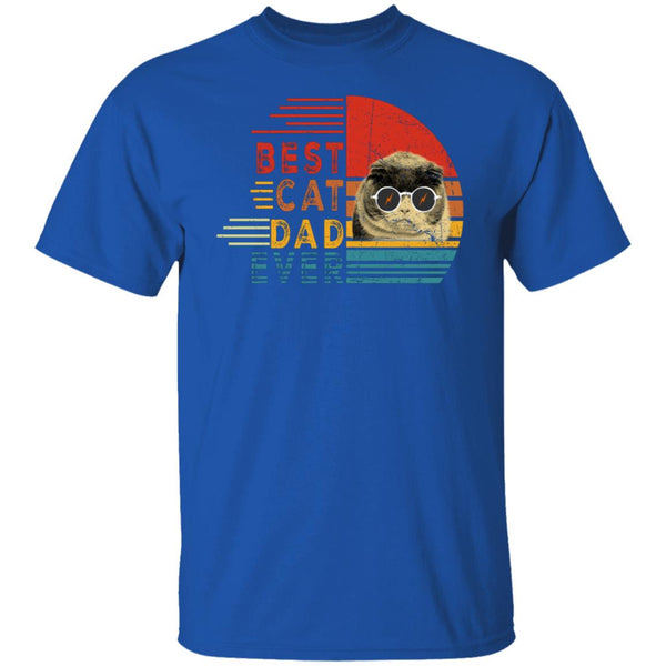 Best cat dad ever shirt, give for father, dad's gift